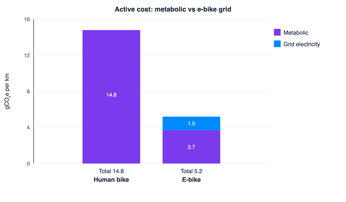 carbon_03_active_metabolic_stack.png